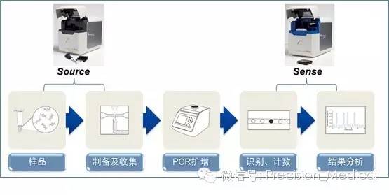 基因突變檢測技術 原理、應用與未來展望